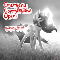 Size: 1280x1280 | Tagged: safe, artist:anxiouslilnerd, imported from derpibooru, oc, oc only, pony, cheap, commission, emergency commission, grayscale, misspelling, monochrome, partial color, solo