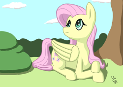 Size: 4960x3508 | Tagged: safe, artist:sgrayda, imported from derpibooru, fluttershy, pony, absurd resolution, female, outdoors, prone, solo