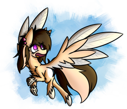 Size: 1946x1662 | Tagged: safe, artist:nekro-led, imported from derpibooru, oc, oc only, oc:buttercream scotch, hippogriff, claws, ear piercing, earring, jewelry, piercing