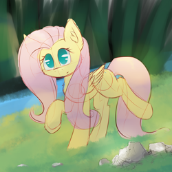 Size: 1100x1100 | Tagged: safe, artist:morningbullet, imported from derpibooru, fluttershy, pegasus, pony, chest fluff, colored sketch, ear fluff, female, folded wings, forest, grass, mare, missing cutie mark, no pupils, outdoors, raised hoof, raised leg, river, rock, sketch, smiling, solo