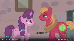 Size: 856x477 | Tagged: safe, imported from derpibooru, screencap, big macintosh, sugar belle, earth pony, pony, hard to say anything, cute, female, male, mare, meme, shipping, stallion, straight, sugarmac, youtube caption