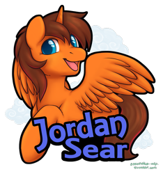 Size: 937x1000 | Tagged: safe, artist:onnanoko, imported from derpibooru, oc, oc only, alicorn, pony, alicorn oc, male, smiling, solo, stallion