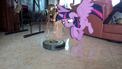 Size: 1920x1080 | Tagged: safe, artist:bokunzhao, artist:decprincess, imported from derpibooru, twilight sparkle, alicorn, pony, irl, photo, ponies in real life, roomba, solo, story in the comments, twilight sparkle (alicorn)