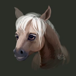 Size: 705x703 | Tagged: safe, artist:spirit-alu, imported from derpibooru, horse, pony, bust, portrait, realistic, smiling, solo