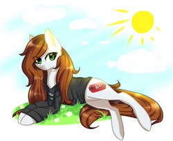 Size: 1280x1041 | Tagged: safe, artist:fomixtl, imported from derpibooru, oc, oc only, earth pony, pony, clothes, female, flower, grass, hoodie, mare, prone, solo, sun