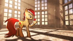 Size: 3840x2160 | Tagged: safe, artist:wintergleam, deleted from derpibooru, imported from derpibooru, roseluck, earth pony, pony, 3d, female, flower, mare, rose, sad, solo, source filmmaker, sunlight, window