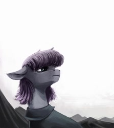 Size: 1000x1121 | Tagged: safe, artist:weird--fish, imported from derpibooru, maud pie, earth pony, pony, female, floppy ears, gray coat, mare, mountain, purple mane, solo