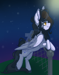 Size: 1024x1293 | Tagged: safe, artist:twisted-sketch, imported from derpibooru, oc, oc only, pegasus, pony, fence, leaning, night, solo, stars, watermark