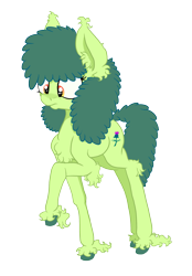 Size: 1621x2332 | Tagged: safe, artist:paskanaakka, derpibooru exclusive, imported from derpibooru, oc, oc only, oc:thistle sprig, earth pony, pony, chest fluff, colored hooves, ear fluff, fluffy, raised hoof, simple background, solo, transparent background, unshorn fetlocks