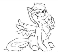 Size: 739x661 | Tagged: safe, artist:geomancing, imported from derpibooru, rainbow dash, pegasus, pony, behaving like a bird, black and white, chest fluff, female, grayscale, monochrome, puffy cheeks, simple background, sketch, solo, white background