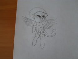 Size: 4608x3456 | Tagged: safe, artist:emilyclise, imported from derpibooru, oc, oc only, pegasus, pony, absurd resolution, monochrome, photo, solo, traditional art