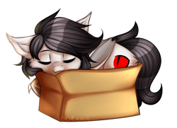 Size: 1857x1344 | Tagged: safe, artist:gicme, imported from derpibooru, oc, oc only, oc:thunder wave, bat pony, pony, vampony, bat pony oc, box, cute, eyes closed, pony in a box, simple background, sleeping, solo, transparent background, ych result