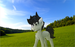 Size: 1207x755 | Tagged: safe, artist:marsminer, imported from derpibooru, oc, oc only, oc:circut fryer, pony, grass, irl, photo, solo