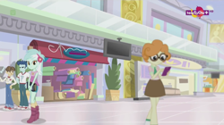 Size: 1136x638 | Tagged: safe, imported from derpibooru, screencap, curly winds, lyra heartstrings, scribble dee, some blue guy, wiz kid, dance magic, equestria girls, spoiler:eqg specials, background human, book, boots, canterlot mall, clothes, converse, female, glasses, haberdashery, male, mall, shoes, shorts, skirt, sneakers, socks, teletoon, television