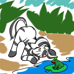 Size: 1000x1000 | Tagged: safe, artist:b-i-r, imported from derpibooru, oc, oc only, oc:ceres, frog, zebra, ass up, female, lilypad, mare, water, yellow eyes