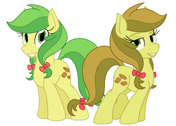 Size: 1400x1000 | Tagged: safe, artist:tertonda, imported from derpibooru, apple fritter, apple strudely, earth pony, pony, apple family member, duo, female, grin, looking at you, mare, pigtails, simple background, smiling, transparent background