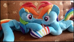 Size: 1155x655 | Tagged: safe, artist:littlefairyswonders, artist:rosamariposacrafts, imported from derpibooru, rainbow dash, pony, clothes, irl, photo, plushie, prone, rainbow socks, self ponidox, socks, striped socks
