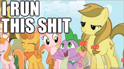 Size: 784x438 | Tagged: safe, edit, edited screencap, imported from derpibooru, screencap, apple fritter, apple strudely, gala appleby, ginger gold, pacific rose, pink lady, spike, dragon, earth pony, pony, friendship is magic, apple family member, artifact, brony history, female, image macro, male, mare, meme, sunfire, vulgar