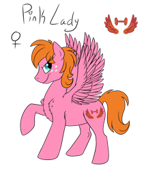 Size: 1800x2100 | Tagged: safe, artist:pampoke, imported from derpibooru, oc, oc only, oc:pink lady, pegasus, pony, chest fluff, female, freckles, mare, offspring, parent:big macintosh, parent:fluttershy, parents:fluttermac, simple background, solo, spread wings, transparent background, wings