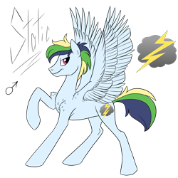 Size: 2700x2700 | Tagged: safe, artist:pampoke, imported from derpibooru, oc, oc only, oc:static, pegasus, pony, male, offspring, parent:applejack, parent:rainbow dash, parent:soarin', parents:soarindash, raised hoof, simple background, solo, sperm donation, stallion, transparent background