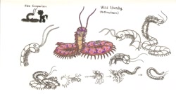 Size: 1629x876 | Tagged: safe, artist:smcho1014, deleted from derpibooru, imported from derpibooru, oc, oc only, oc:wild sketchy, arthropleura, giant centipede, pony, unicorn, colored pencil drawing, concept art, male, self-transfiguration, size chart, size comparison, stallion, traditional art, transfiguration, transformation