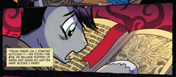 Size: 863x378 | Tagged: safe, artist:tonyfleecs, idw, imported from derpibooru, pony of shadows, shadow lock, pony, unicorn, from the shadows, spoiler:comic, spoiler:comic53, book, cropped, male, official comic, solo, stallion