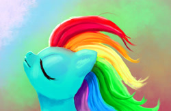 Size: 2000x1300 | Tagged: safe, artist:xbi, imported from derpibooru, rainbow dash, pony, color porn, female, mane, profile, solo