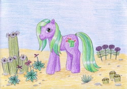 Size: 1024x721 | Tagged: safe, artist:normaleeinsane, imported from derpibooru, pony, cactus, desert, desert blossom, female, flower, g3, solo, traditional art
