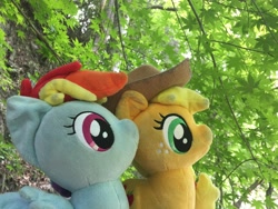 Size: 3264x2448 | Tagged: safe, artist:setorin5, imported from derpibooru, applejack, rainbow dash, pony, 4de, irl, japan, momiji (tree), photo, plushie, ponies around the world, ponies in real life, travelling