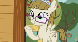 Size: 844x462 | Tagged: safe, imported from derpibooru, screencap, zippoorwhill, pony, forever filly, female, solo