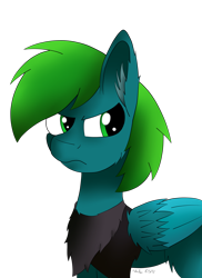 Size: 2550x3507 | Tagged: safe, artist:nacle, imported from derpibooru, oc, oc only, oc:swifty, pegasus, pony, simple background, solo, transparent background