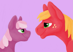 Size: 639x458 | Tagged: safe, artist:believeinshadows, imported from derpibooru, big macintosh, cheerilee, earth pony, pony, cheeribetes, cheerimac, cute, female, macabetes, male, mare, shipping, stallion, straight