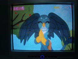 Size: 4160x3120 | Tagged: safe, imported from derpibooru, screencap, gabby, griffon, the fault in our cutie marks, absurd resolution, chinese, female, flying, picture of a screen, smiling, solo, spread wings, wings