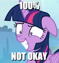 Size: 448x480 | Tagged: safe, edit, edited screencap, imported from derpibooru, screencap, twilight sparkle, alicorn, pony, cropped, female, floppy ears, grin, image macro, meme, nervous, nervous grin, smiling, solo, twilight sparkle (alicorn)