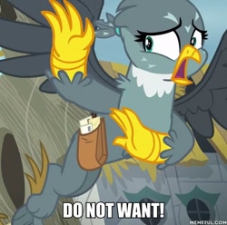 Size: 600x594 | Tagged: safe, edit, edited screencap, imported from derpibooru, screencap, gabby, griffon, pony, the fault in our cutie marks, cropped, do not want, female, image macro, meme, memeful.com, solo