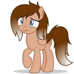 Size: 7000x7000 | Tagged: safe, artist:besttubahorse, imported from derpibooru, oc, oc only, oc:cinnamon toast, original species, pegasus, plush pony, 3:, absurd resolution, female, raised hoof, sad, simple background, solo, teary eyes, transparent background, vector, wavy mouth