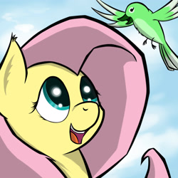 Size: 4500x4500 | Tagged: safe, artist:cloudyskieswrites, imported from derpibooru, fluttershy, bird, pony, absurd resolution, bust, female, portrait, solo