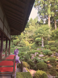 Size: 1280x1707 | Tagged: safe, artist:kuzumori, imported from derpibooru, starlight glimmer, pony, unicorn, irl, japan, kyoto, photo, ponies in real life, scenery, solo