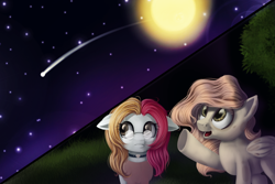 Size: 900x600 | Tagged: safe, artist:ailatf, imported from derpibooru, oc, oc only, earth pony, pegasus, pony, duo, female, floppy ears, full moon, looking up, mare, moon, night, shooting star, smiling, starry night, stars