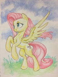 Size: 1024x1365 | Tagged: safe, artist:grokostimpy, imported from derpibooru, fluttershy, pegasus, pony, female, looking away, mare, rearing, smiling, solo, spread wings, traditional art, windswept mane, wings