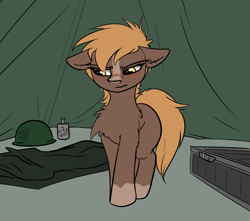 Size: 3541x3125 | Tagged: safe, artist:duop-qoub, imported from derpibooru, earth pony, pony, blushing, chest fluff, ear fluff, flask, floppy ears, fluffy, helmet, ponified, sergeant reckless, shoulder fluff, solo, tent, warpone
