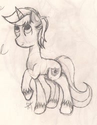 Size: 996x1284 | Tagged: safe, artist:silversthreads, imported from derpibooru, oc, oc only, oc:intrepid charm, pony, unicorn, daily sketch, male, sketch, solo, stallion, traditional art, unshorn fetlocks