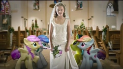 Size: 2048x1152 | Tagged: safe, imported from derpibooru, fluttershy, lemon hearts, rainbow dash, human, female, full frontal with samantha bee, irl, photo, recolor, toy