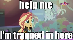 Size: 1136x638 | Tagged: safe, edit, edited screencap, imported from derpibooru, screencap, starlight glimmer, sunset shimmer, equestria girls, mirror magic, spoiler:eqg specials, canterlot mall, cinema, image macro, meme, teletoon, trapped