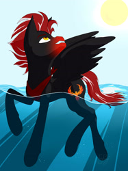 Size: 2076x2781 | Tagged: safe, artist:twigpony, imported from derpibooru, oc, oc only, pegasus, pony, commission, freckles, looking back, looking up, male, solo, stallion, sun, swimming, water, ych result