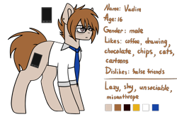 Size: 2181x1440 | Tagged: safe, artist:despotshy, imported from derpibooru, oc, oc only, oc:vadim, earth pony, pony, brown eyes, brown mane, clothes, glasses, male, ponysona, reference sheet, solo, stallion