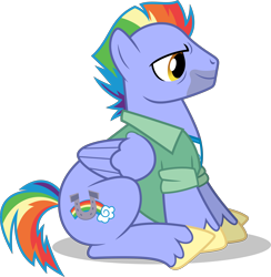 Size: 4877x5000 | Tagged: safe, artist:dashiesparkle, imported from derpibooru, bow hothoof, pegasus, pony, parental glideance, .svg available, absurd resolution, clothes, male, simple background, sitting, solo, stallion, transparent background, vector