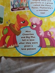 Size: 4128x3096 | Tagged: safe, imported from derpibooru, big macintosh, cheerilee, rarity, toe-tapper, torch song, pony, hearts and hooves day (episode), absurd resolution, cheerimac, female, male, shipping, straight