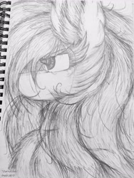 Size: 2951x3928 | Tagged: safe, artist:vanillaswirl6, imported from derpibooru, rainbow dash, pegasus, pony, big ears, bust, cheek fluff, chest fluff, ear fluff, female, fluffy, grayscale, looking up, mare, messy mane, monochrome, portrait, signature, smiling, solo, traditional art