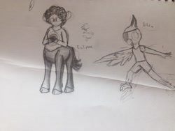 Size: 2048x1536 | Tagged: safe, artist:mlpcreationist, imported from derpibooru, oc, oc only, centaur, pony, non pony, non-pony oc, traditional art